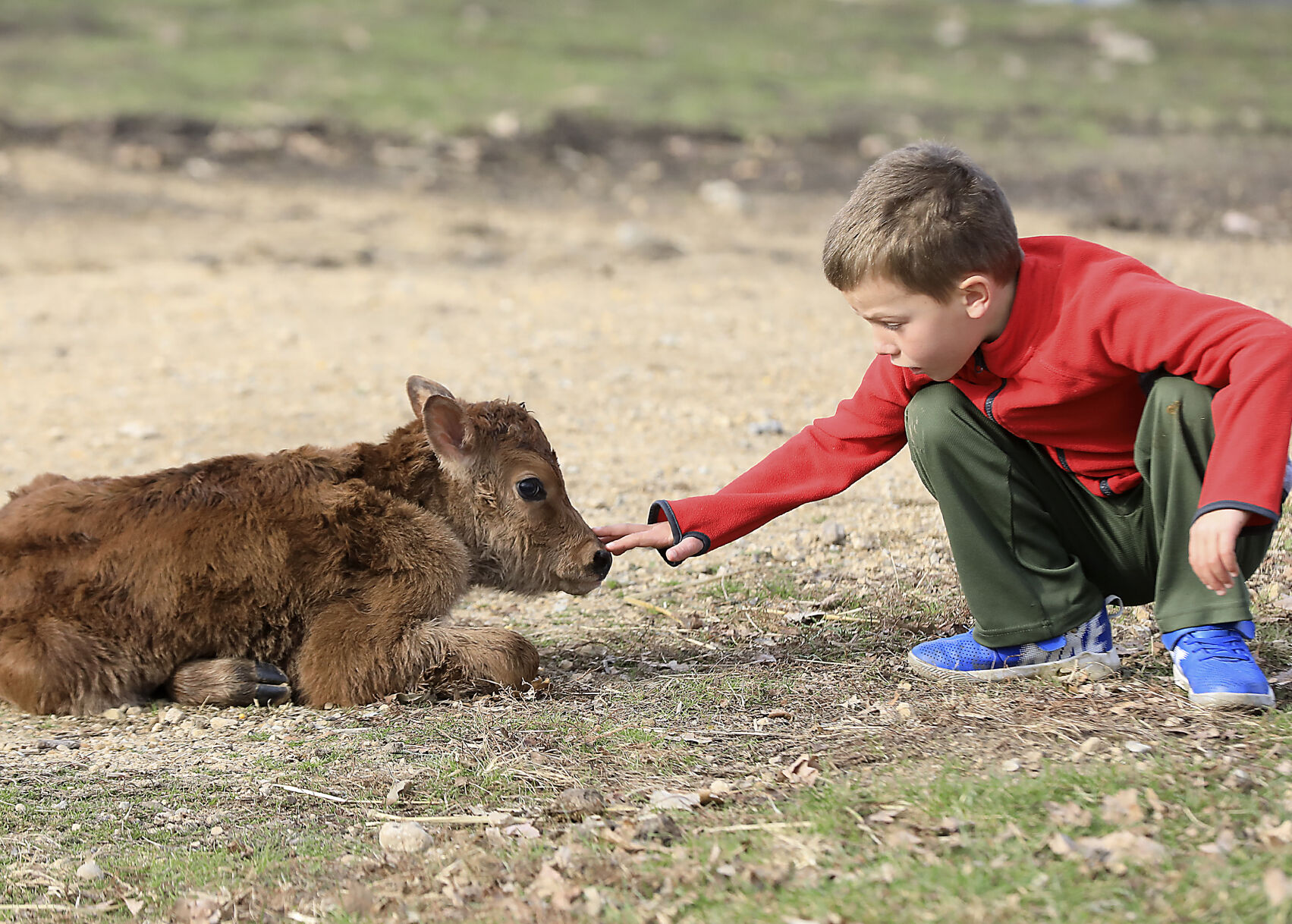 Grazing 11-11192020133506